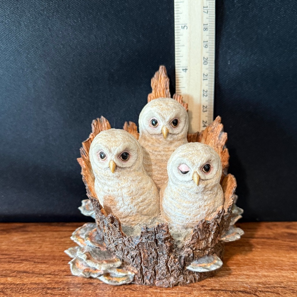 BORDER FINE ARTS Owl Figurine - Picture 4 of 16